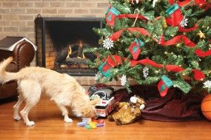 Christmas Tree Bad Dog 2