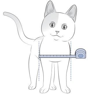 Measure Widest Part Of Cat