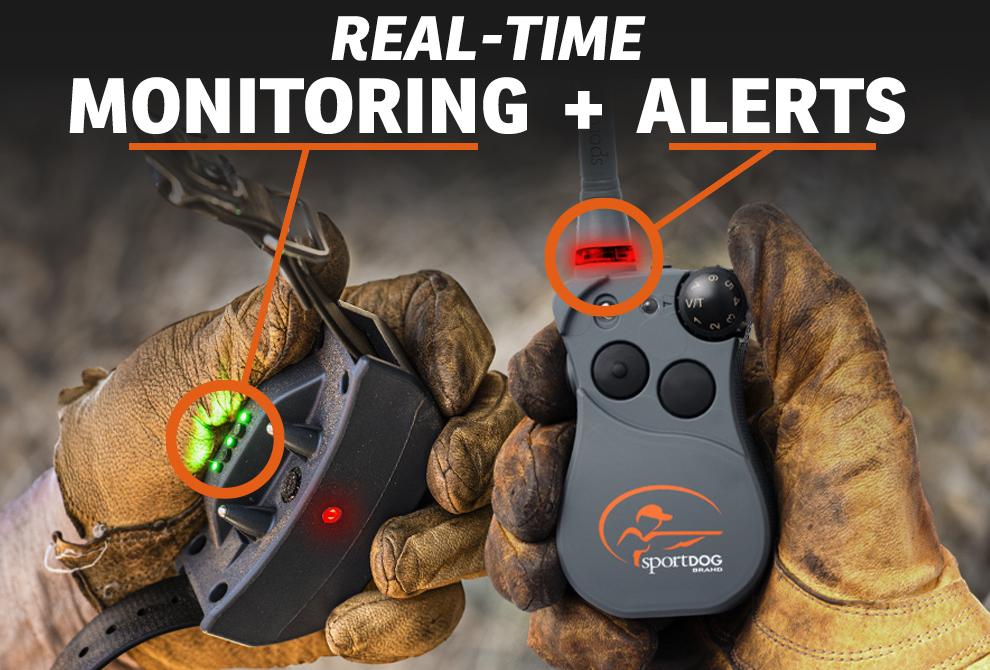real-time monitoring + alerts