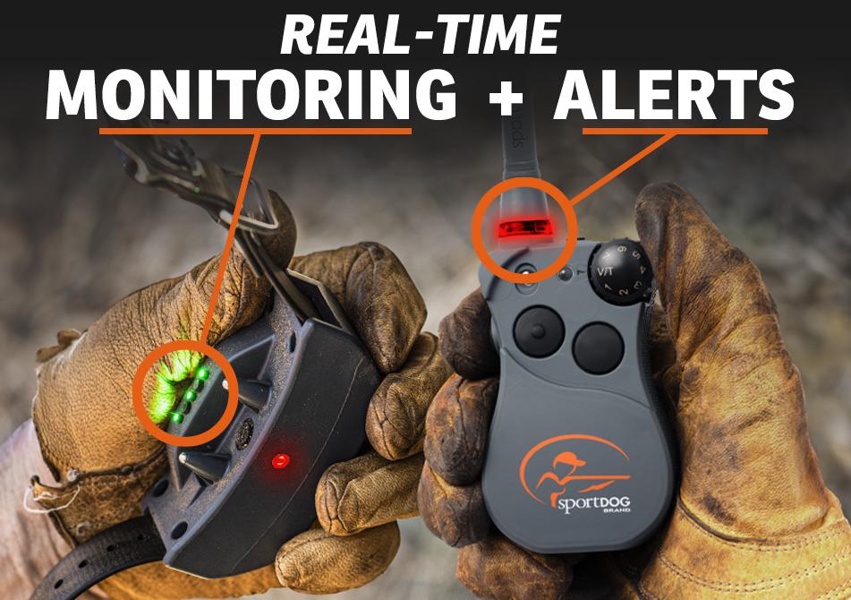 Real-time monitoring + alerts