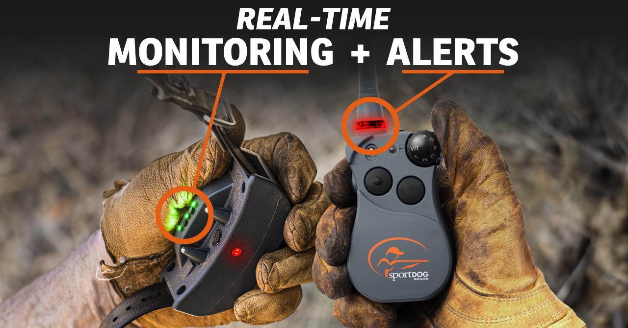 Gloved hands hold a remote with a red LED lit up on the antenna and a collar showing green health monitoring lights with copy that reads Real-Time Monitoring and Alerts