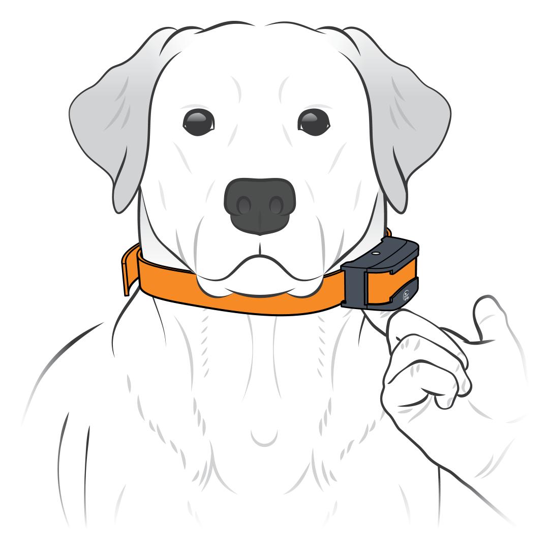 One Finger Behind Contact Point