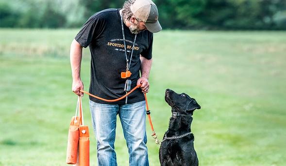 bloke looking at a black lab while holding a lead and training dummies. Whistle and e-collar hanging around his neck.