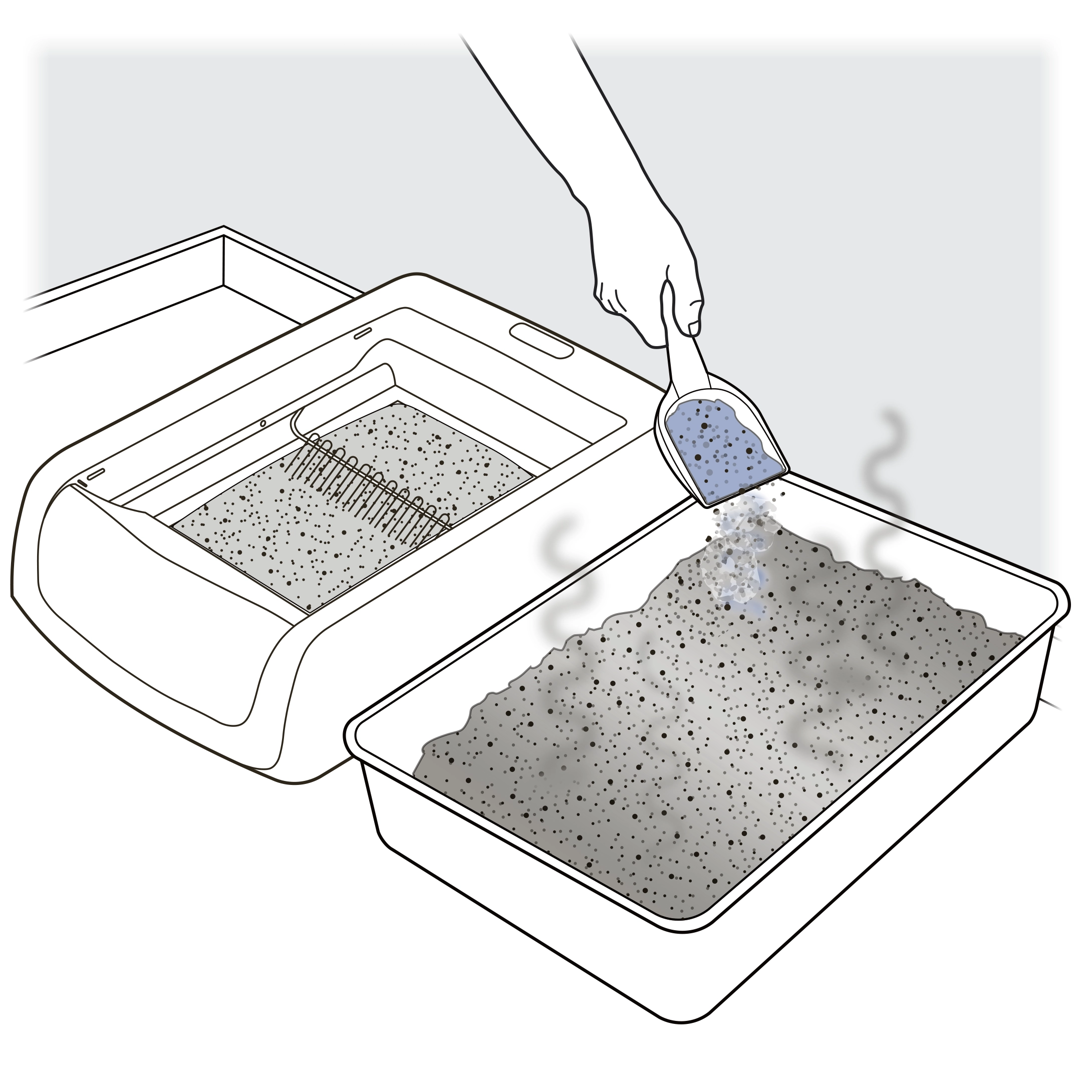 Sprinkle crystal litter into old box