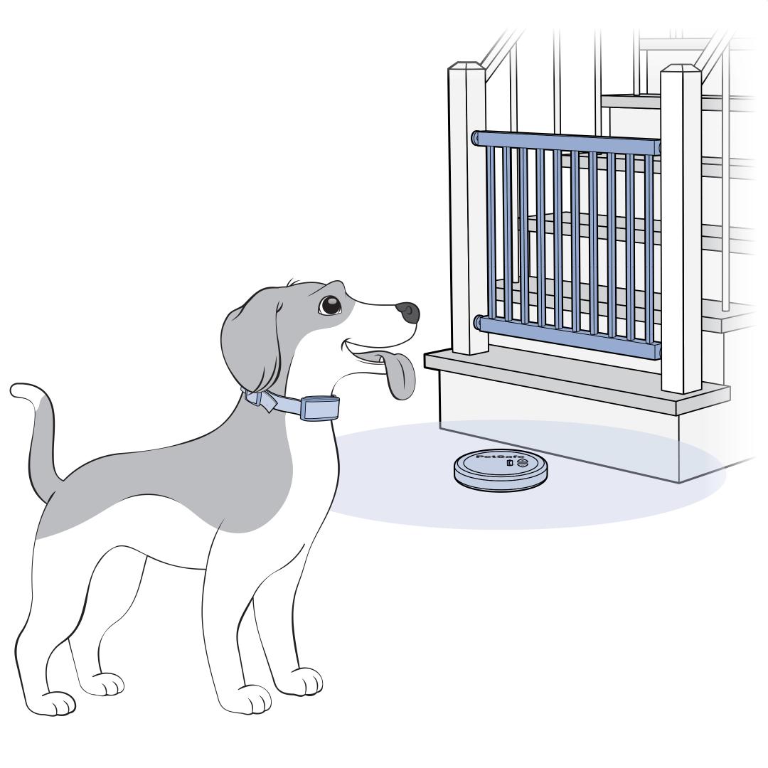 Physical Barrier Near Stairs