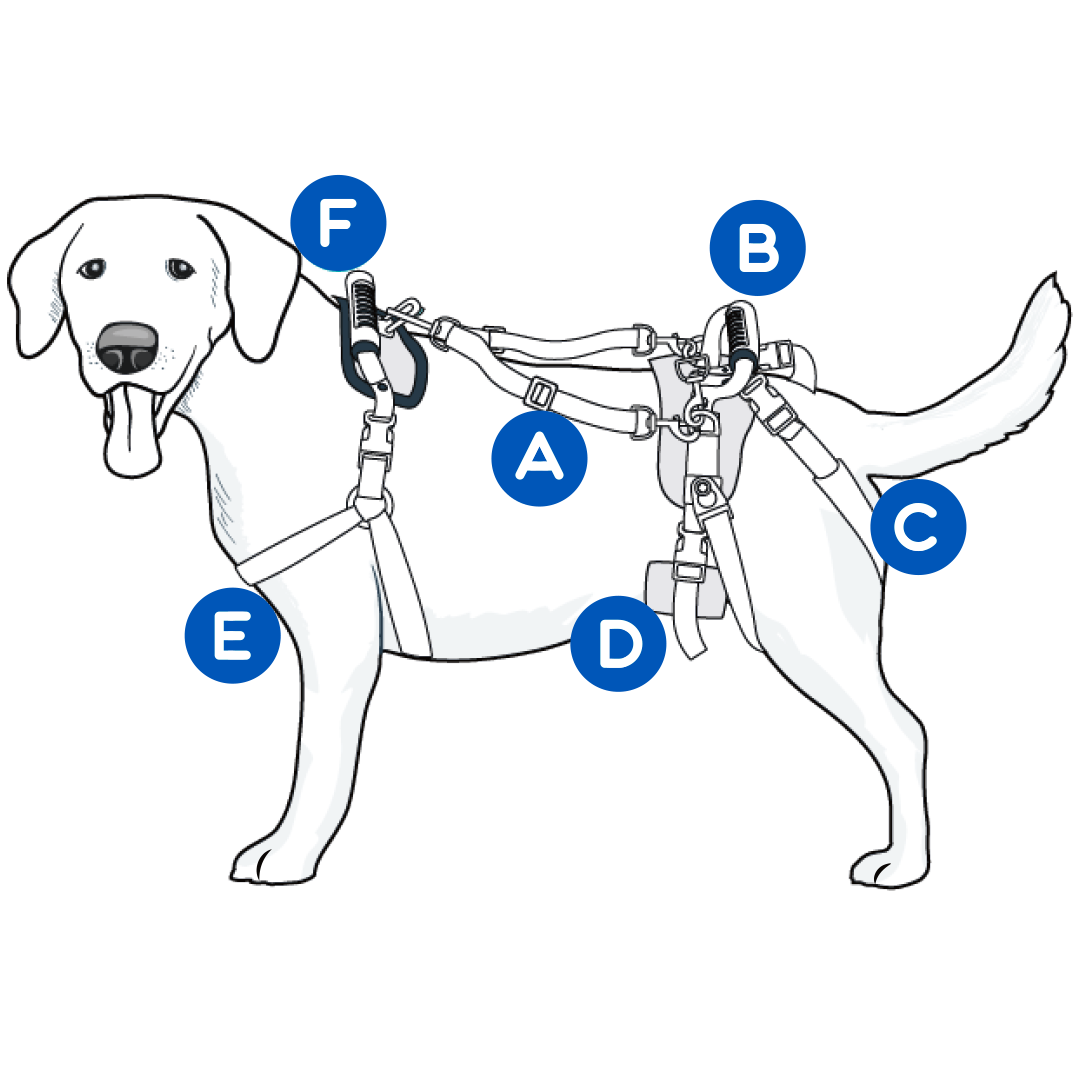 understanding-care-lift-full-body-support-harness-diagram-illustration