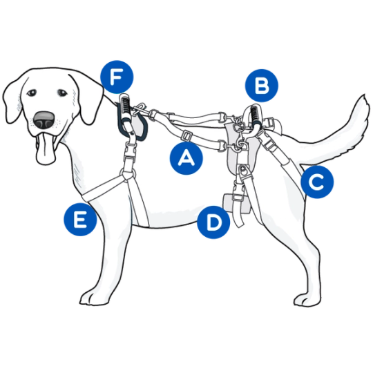 understanding-care-lift-full-body-support-harness-diagram-illustration