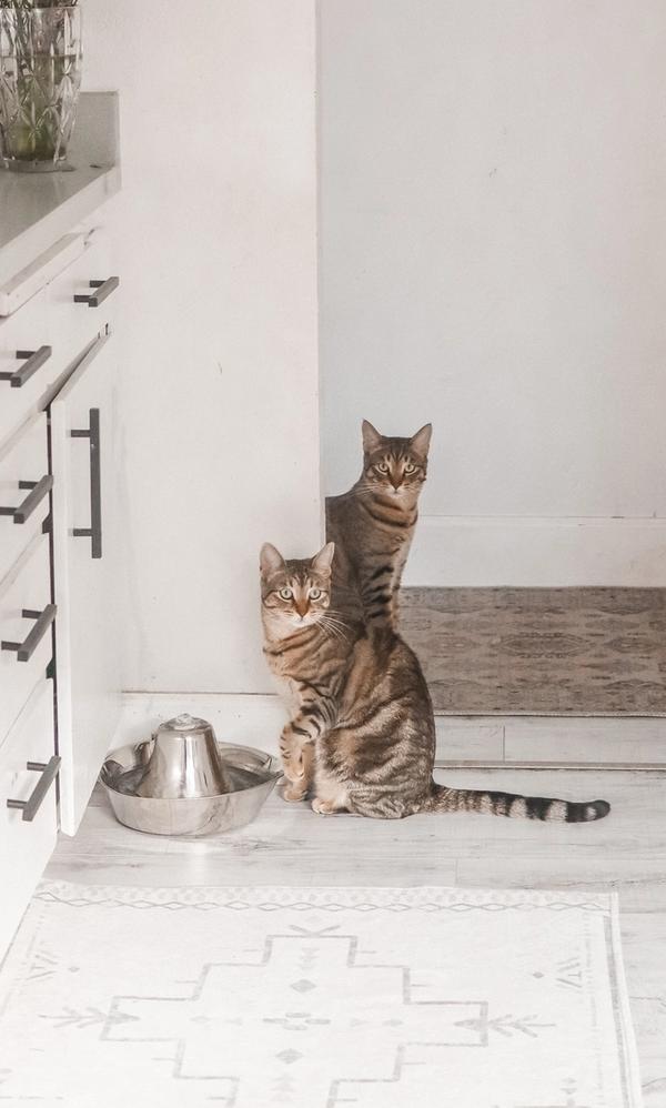 llamada de marketing