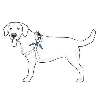 setup-front-harness-care-lift-support-harness-illustration2