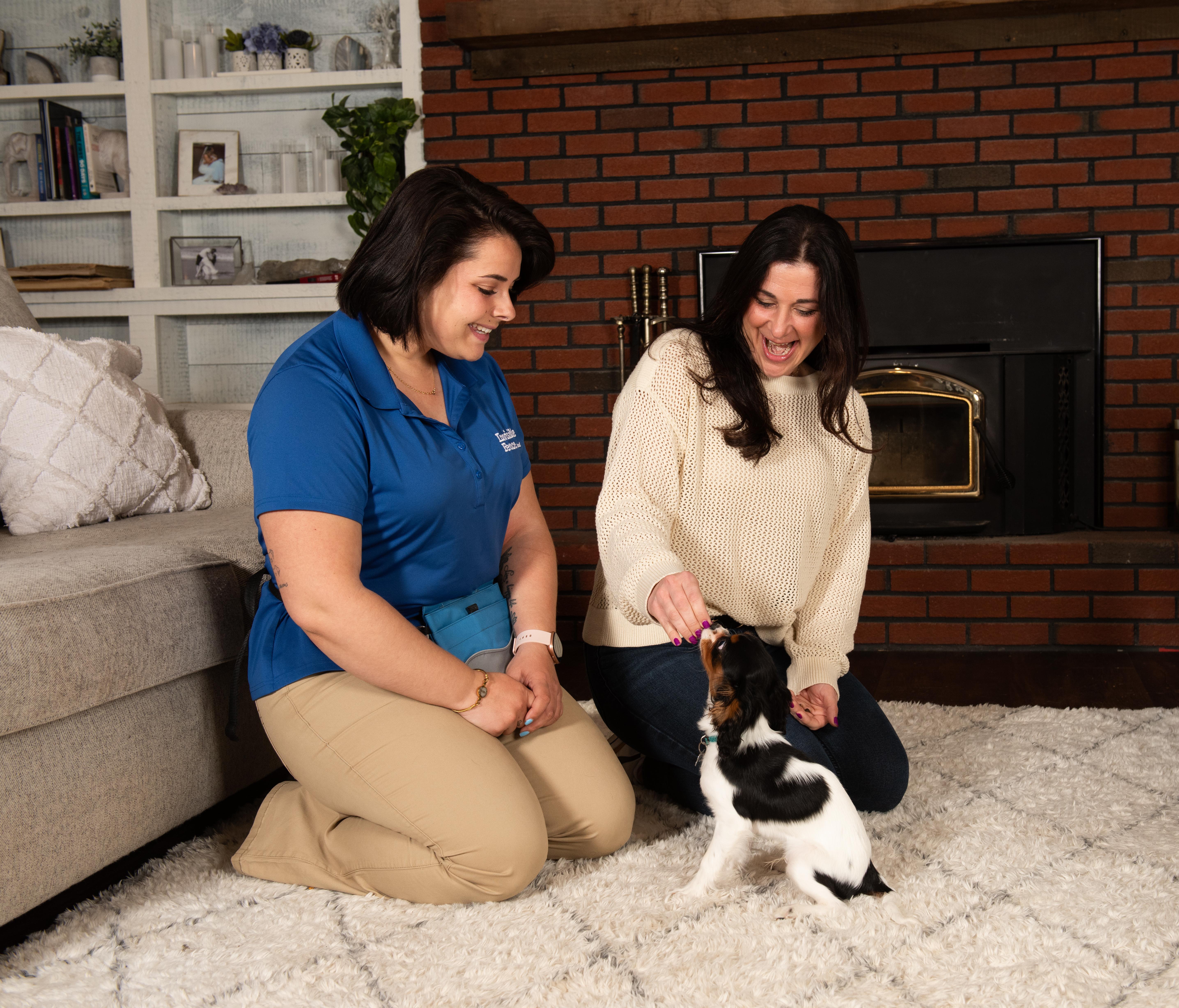 Invisible Fence® trainer with dog and owner during a training session