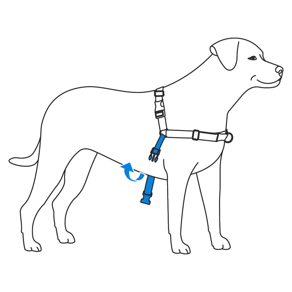 fit-girth-strap-easy-walk-harness-illustration1