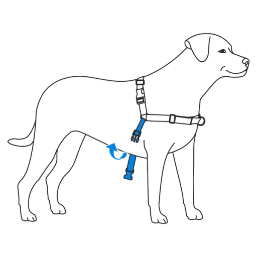 fit-girth-strap-easy-walk-harness-illustration1