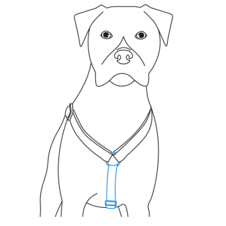 adjust-girth-strap-petsafe-sure-fit-harness-illustration3