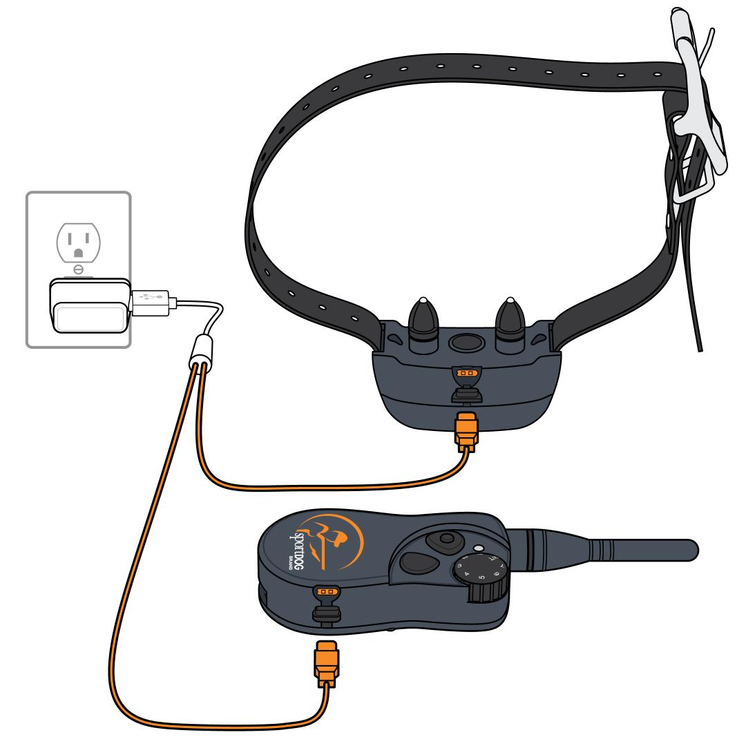 Plug Charger Into Remote And Collar