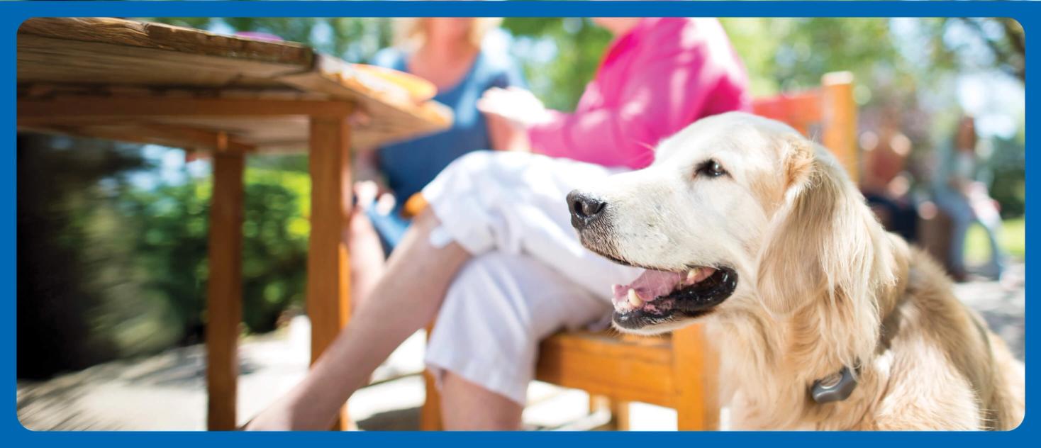 Happy dog wearing Invisible Fence® Collar with owners outside at a table