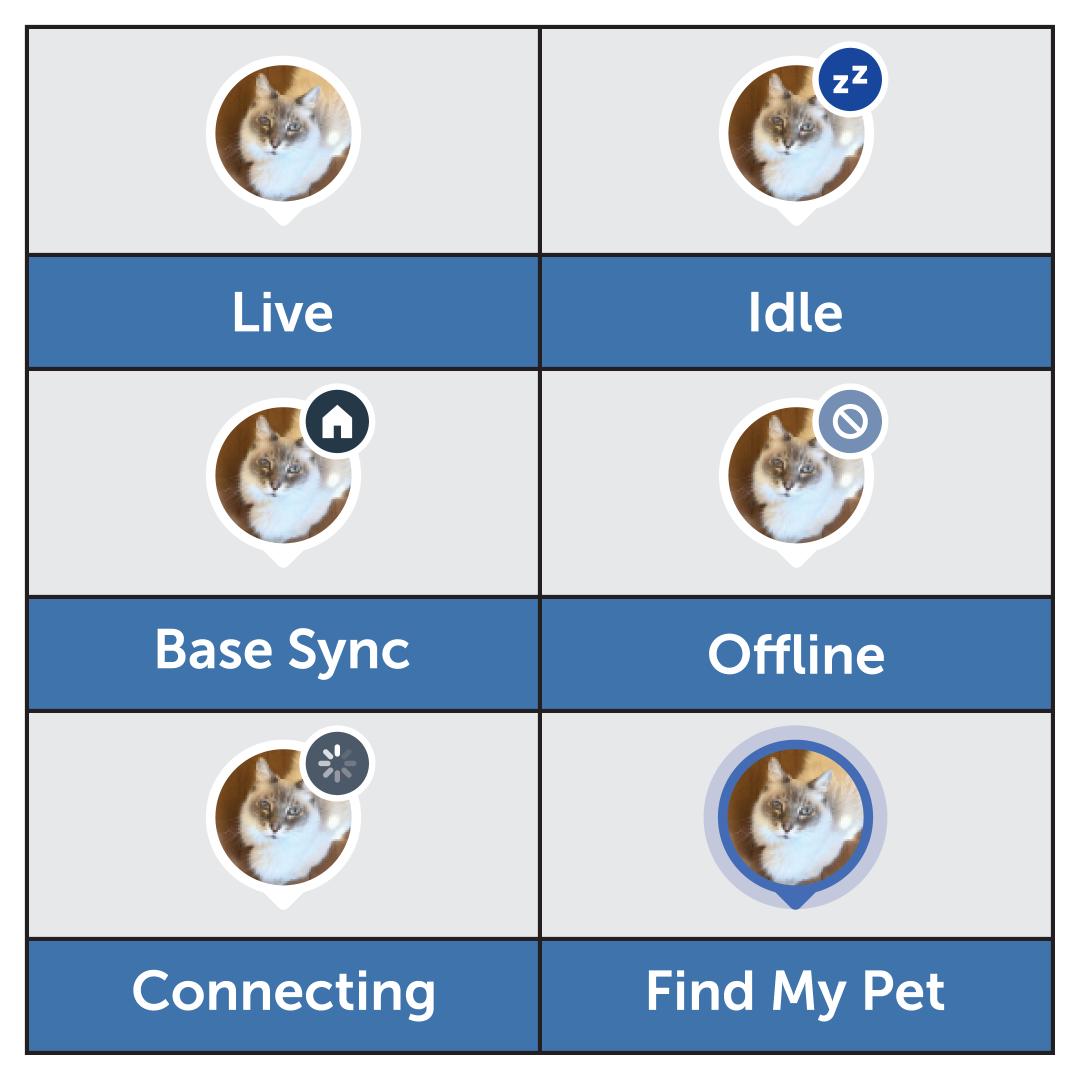 Map Avatar Variations