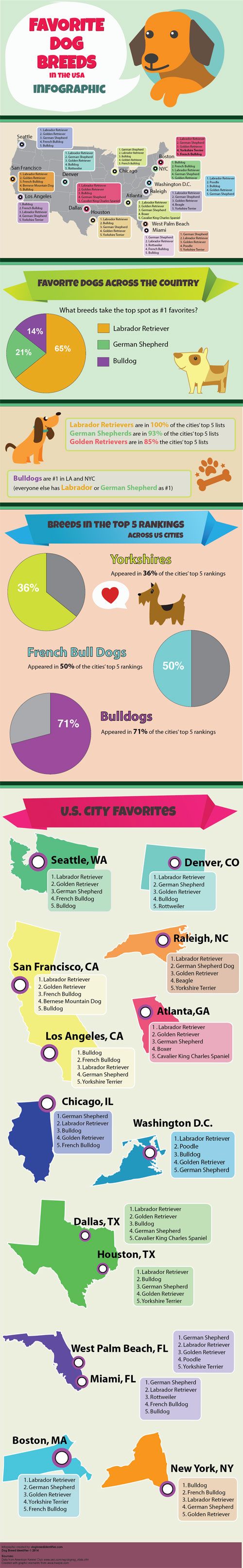 Most Popular Dog Breeds in United States