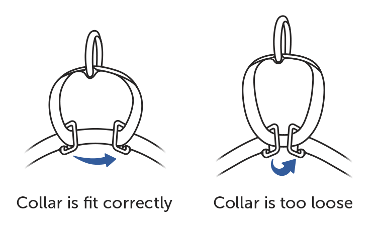 fit-soft-point-training collar-to-dog-illustration1