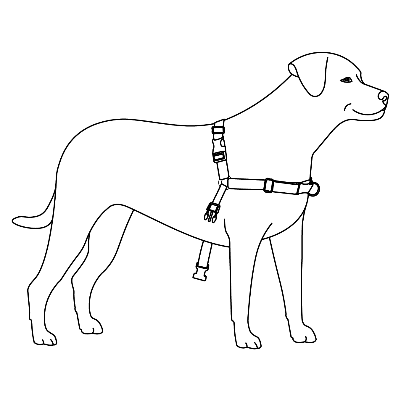 fit-shoulder-strap-easy-walk-harness-illustration1