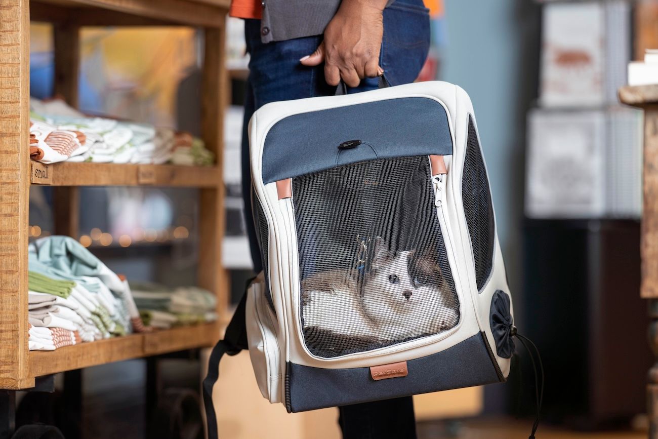 Cat in Happy Ride Backpack Pet Carrier on the go 