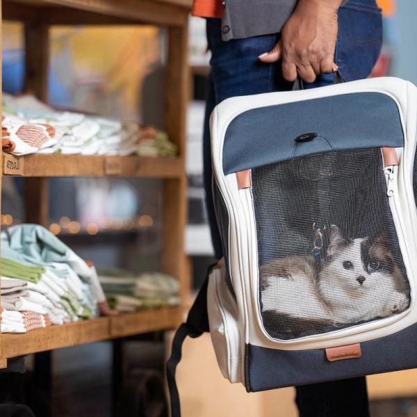 Cat in Happy Ride Backpack Pet Carrier on the go