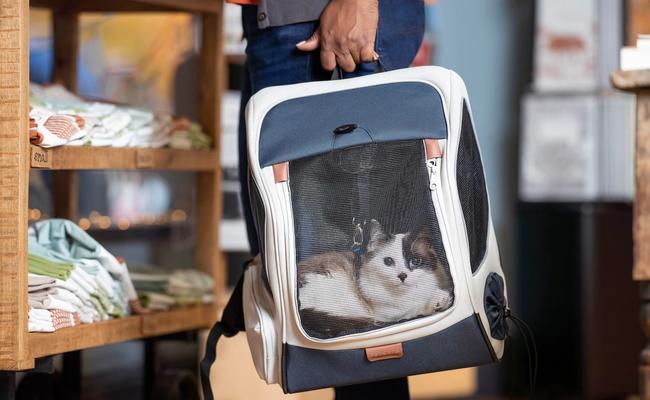 Cat being carried in Happy Ride Pet Backpack Carrier