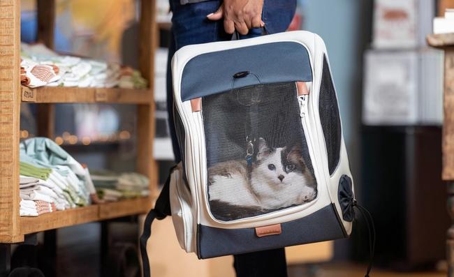 Cat being carried in Happy Ride Pet Carrier