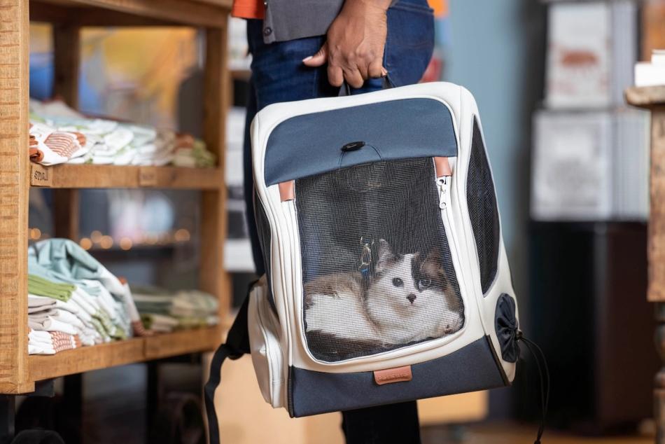Cat in Happy Ride Backpack Pet Carrier on the go 