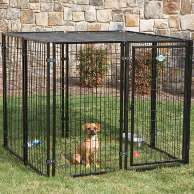 Crate Training Tips PetSafe®