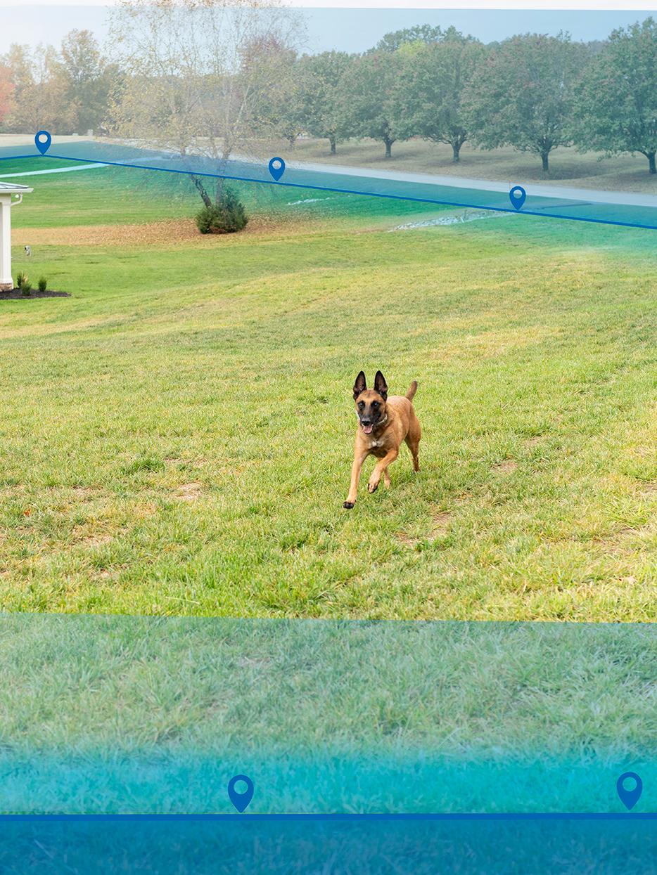 Dog running in front yard with Invisible Fence boundary outlined by blue boundary lines.
