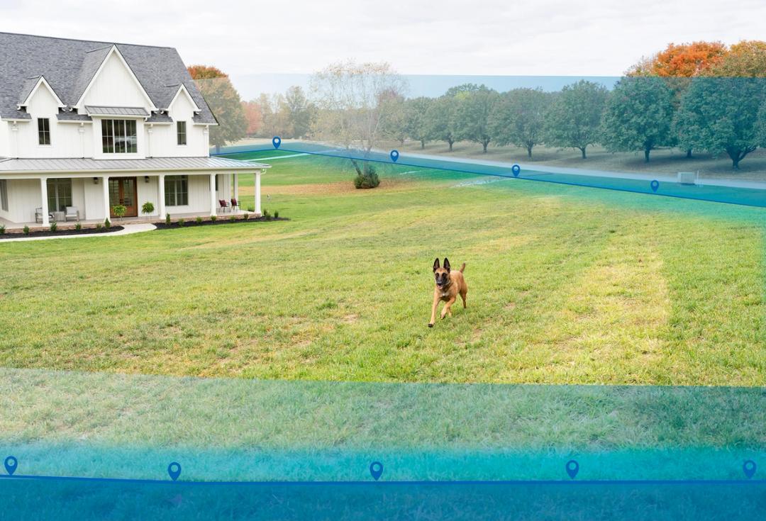 Dog running in front yard with Invisible Fence boundary outlined by blue boundary lines.