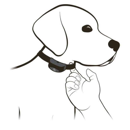 SD YardTrainer 300_ 1 Finger Gap Under Collar