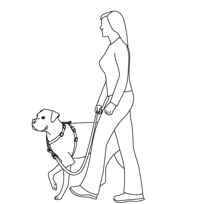 martingale-training-3-in-1-harness-standard-illustration2