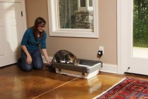 Lily got to try out the Sweep One™ Advanced Auto-Cleaning Litter Box System. Maybe Santa will bring her one?