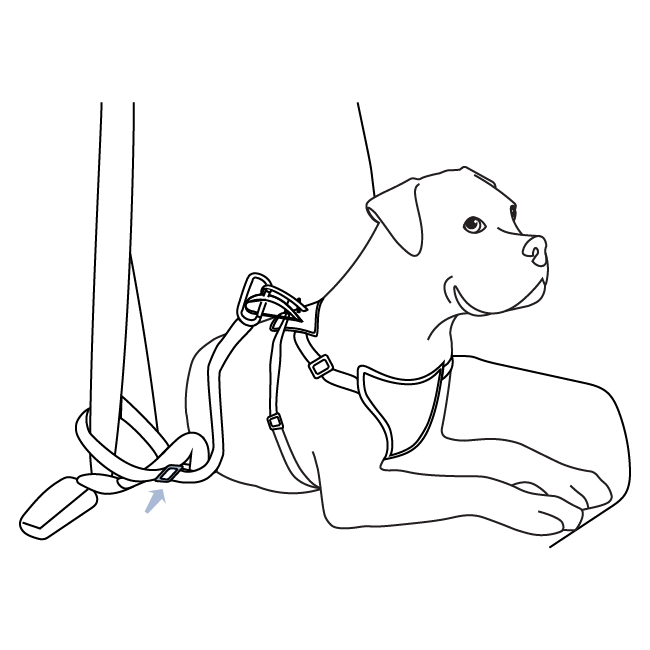 how-to-use-happy-ride-safety-harness-tether-optional-steps-illustration3
