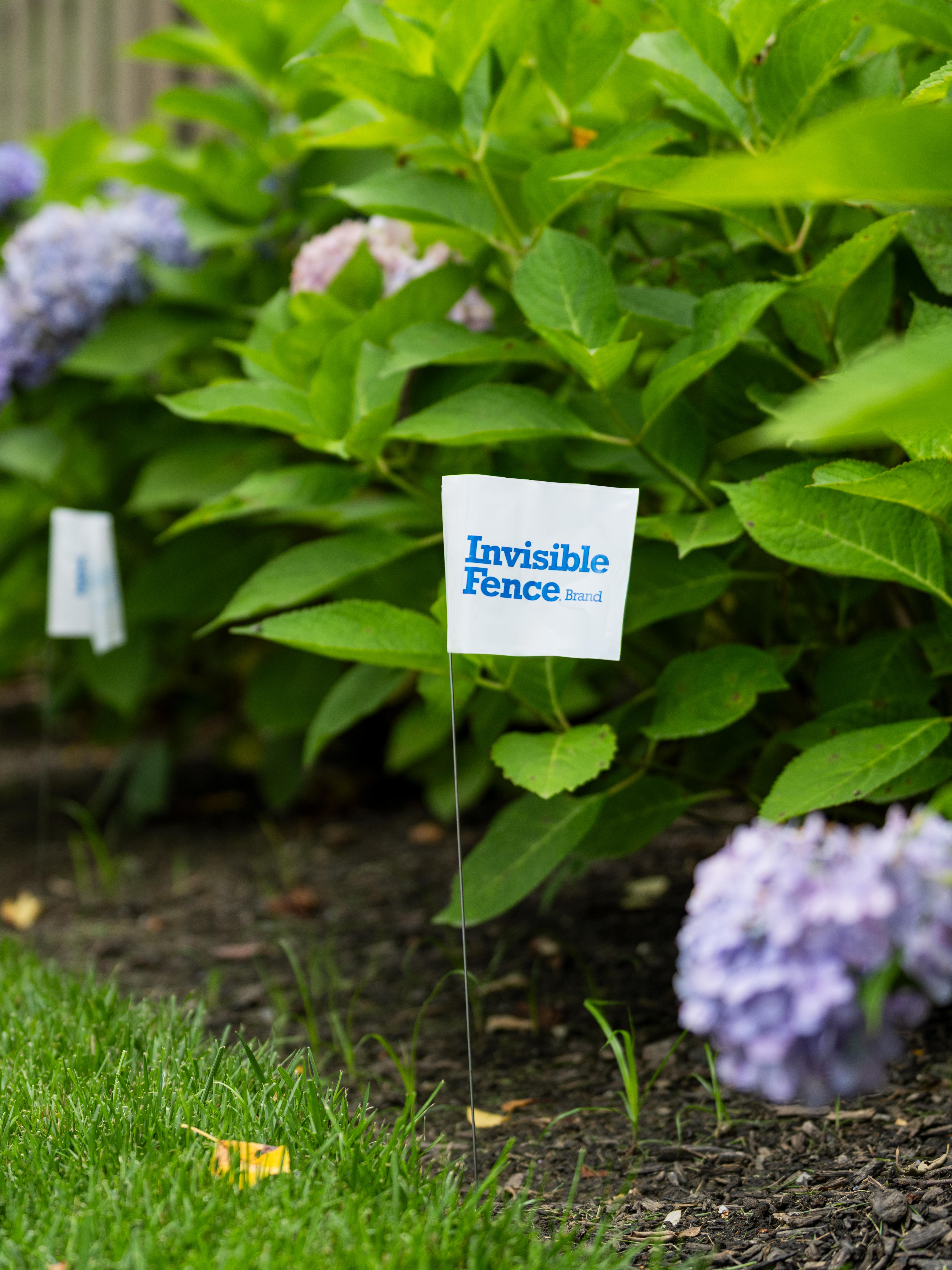 white invisible fence flags place in a garden bed