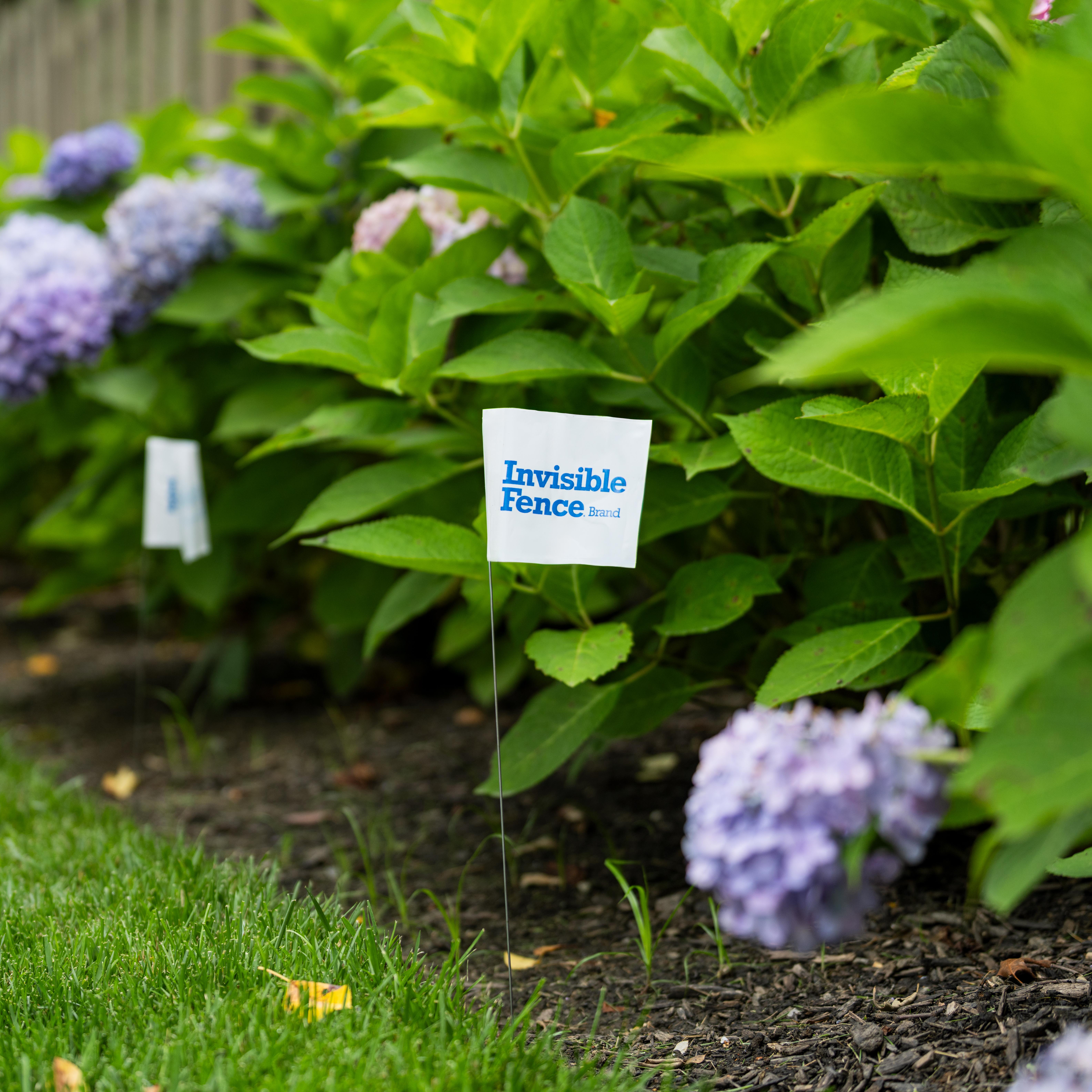 white invisible fence flags place in a garden bed