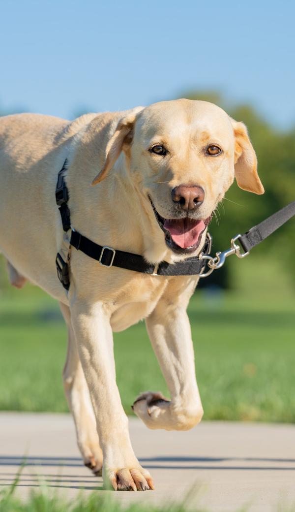 llamada de marketing