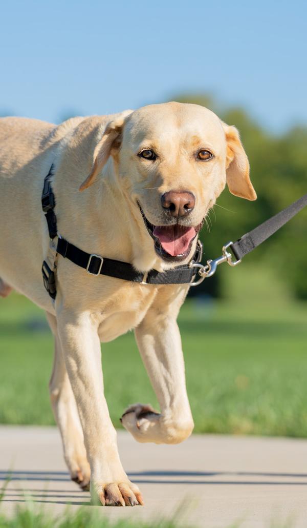 argumentaire marketing