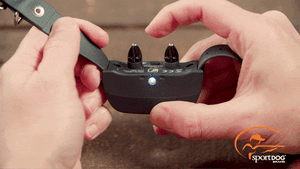 Wait 5 seconds after you see the blue flashes to save your mode selection