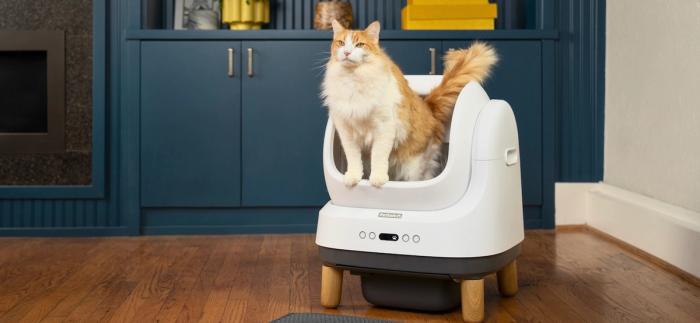 Large fluffy orange and white cat standing in OpenSky automatic litter box