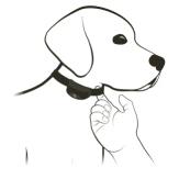 SD Common Containment Collar_1 Finger Gap Under Collar