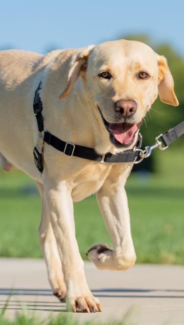 llamada de marketing