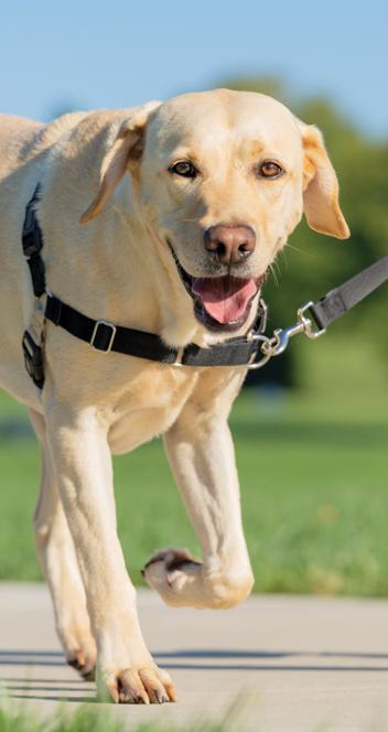 argumentaire marketing