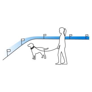 Keep walking your dog