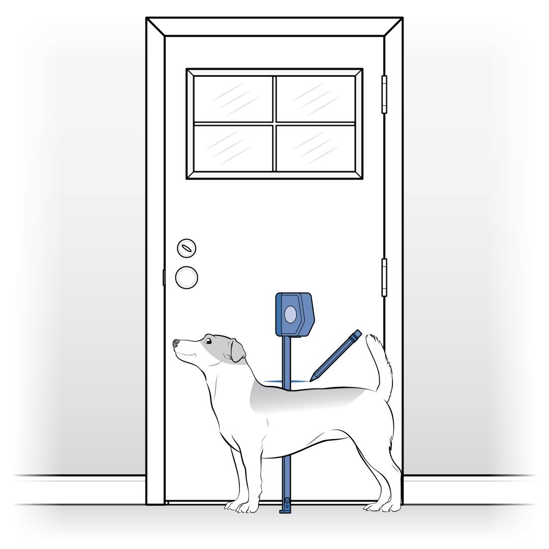 Mark Dog Height On Door