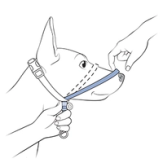 Pull Nose Loop Forward