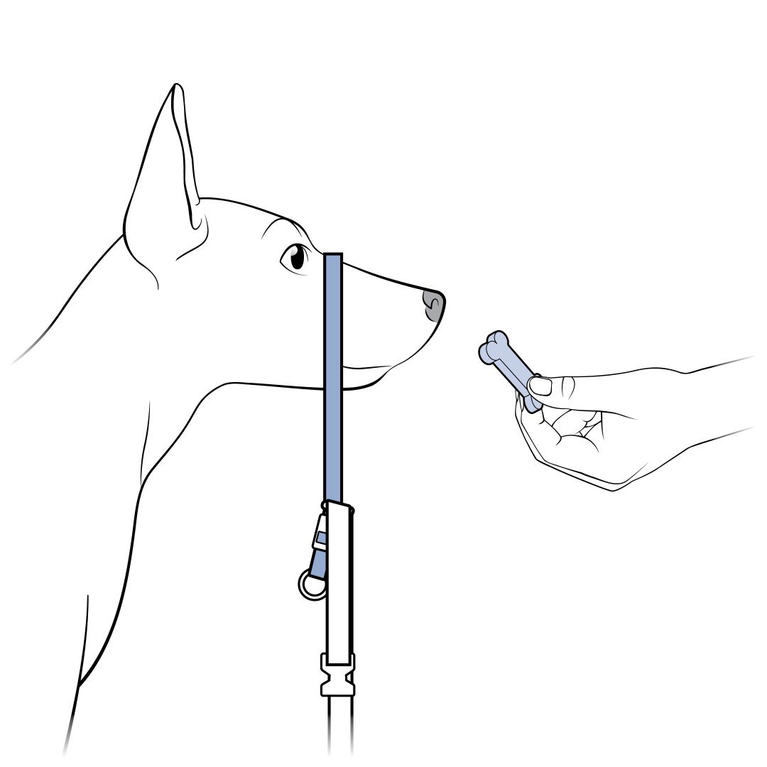Place Nose Loop on Snout