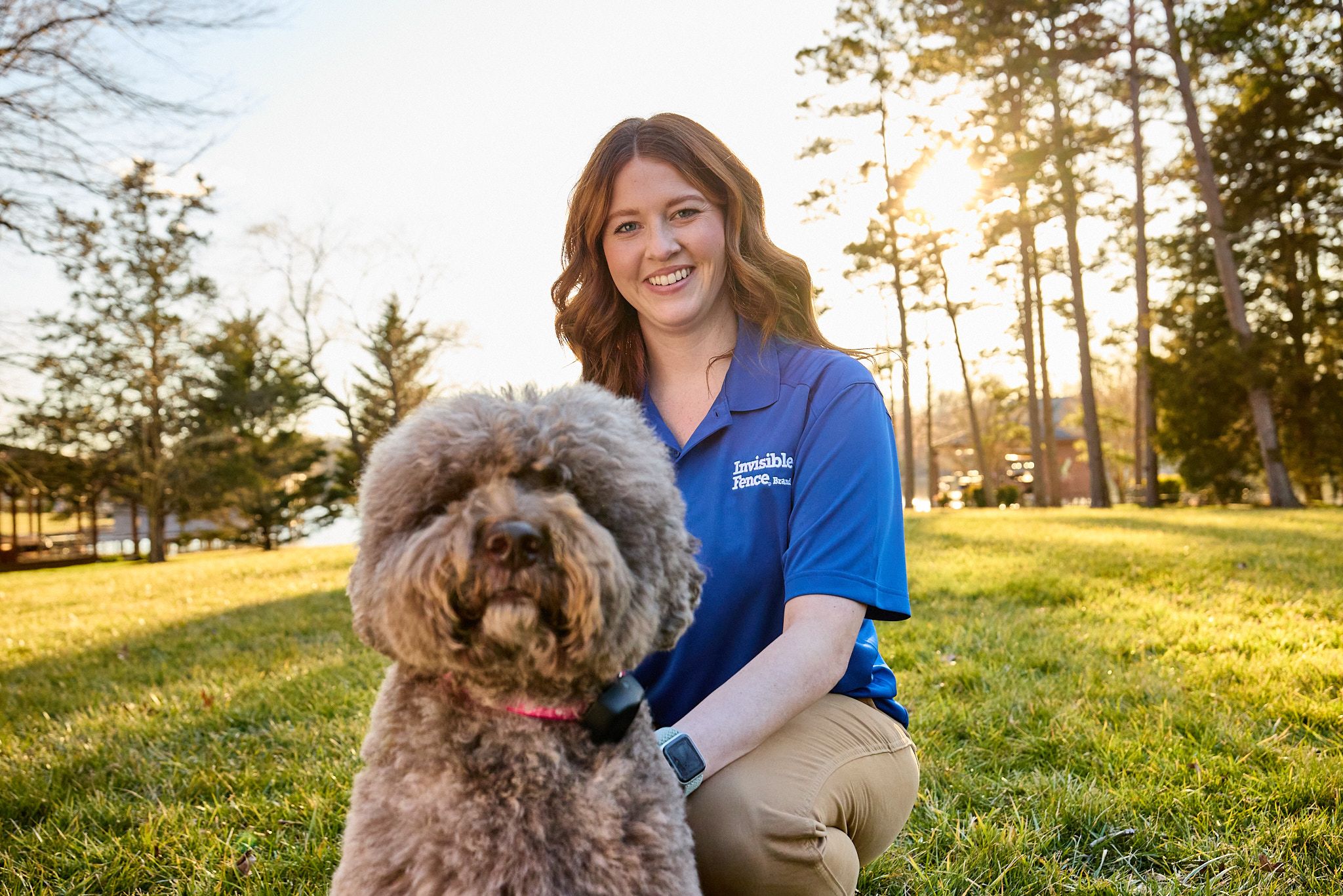 invisible fence trainer works with a poodle in the yard 