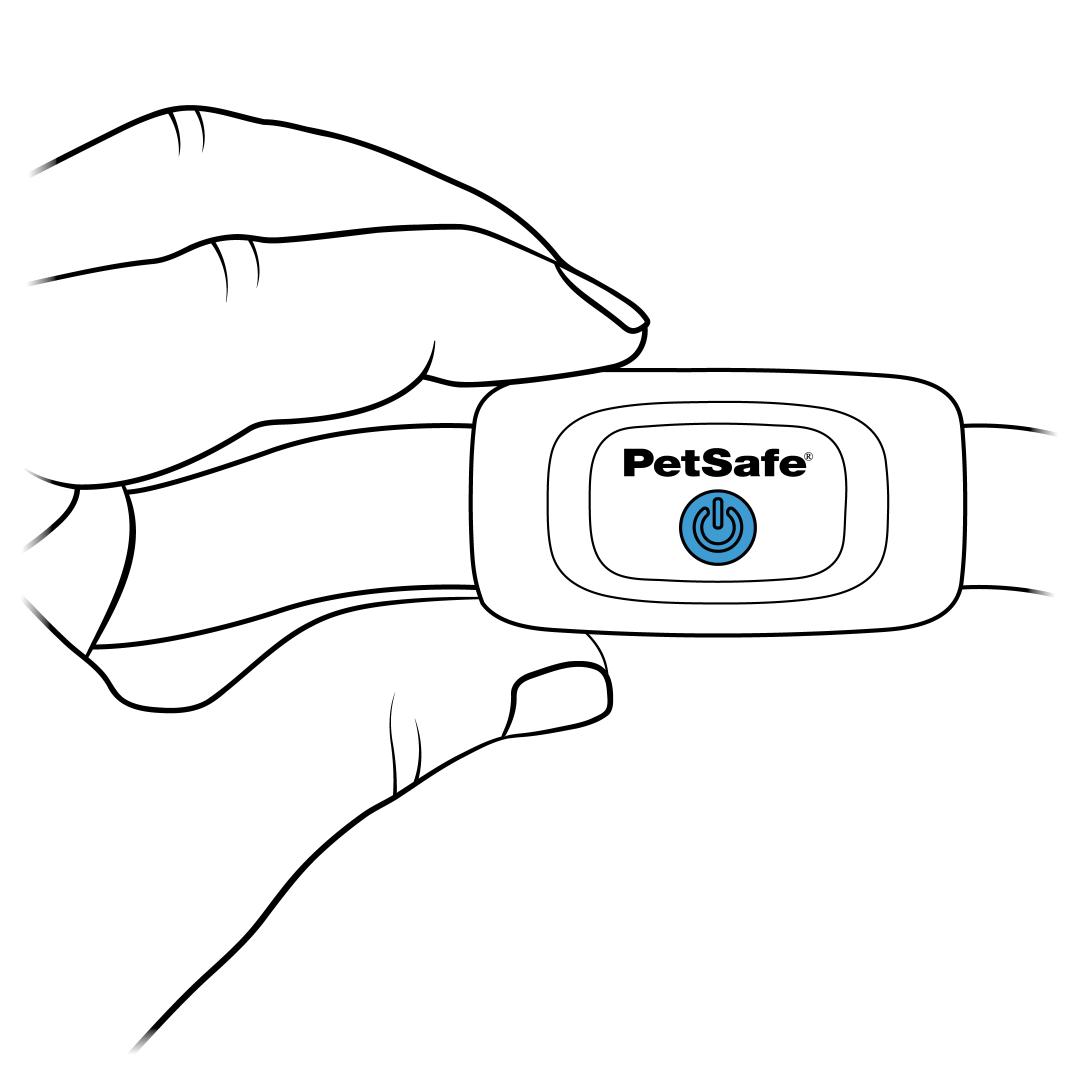 Release power button when light turns blue